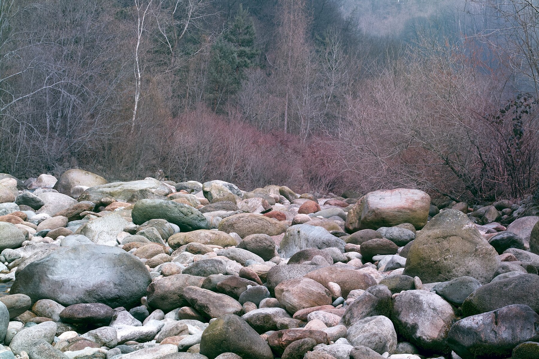 Paisaje montañoso y boscoso de Valchiusella en los Alpes piamonteses.